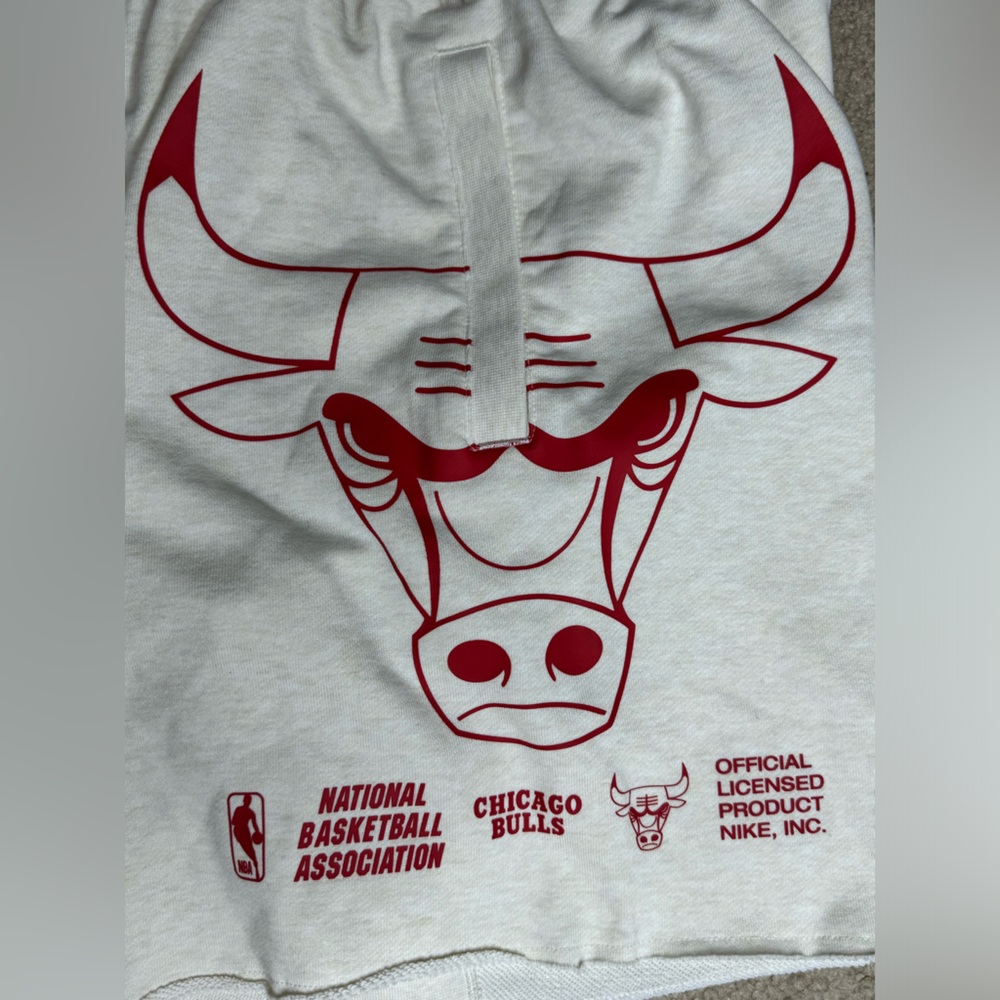NWT- Nike x NBA Chicago Bulls Courtside Shorts - Picture 3 of 7